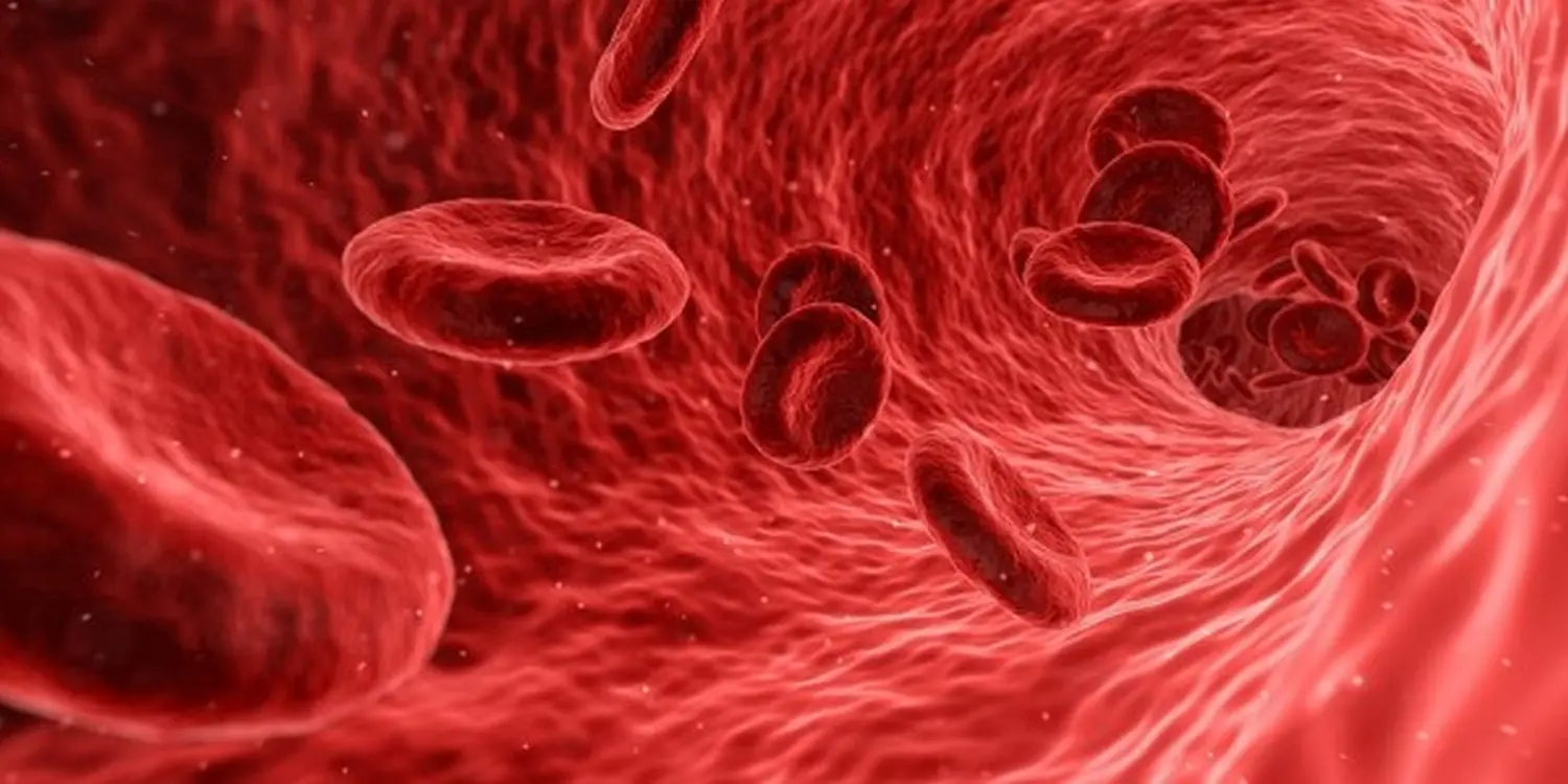 Blutgerinnsel-KI-Bild von Hausarztpraxis Pels und Anand
